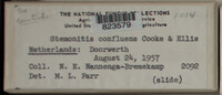 Image Associated With the Occurence